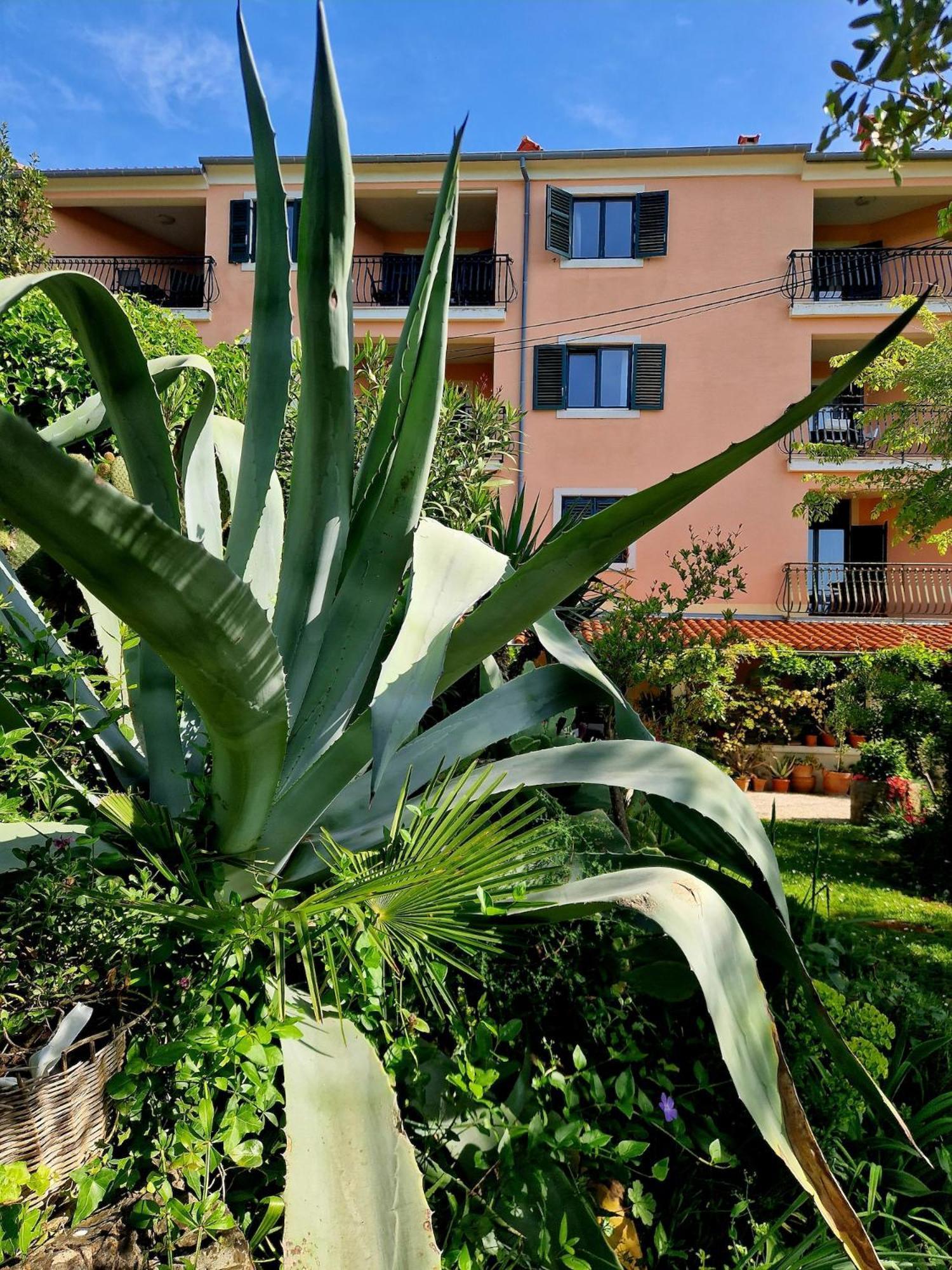 Appartement Mareonda